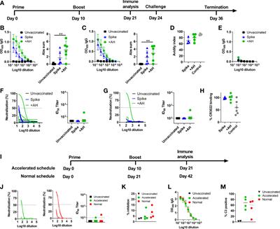 Frontiers | SARS-CoV-2 spike HexaPro formulated in aluminium